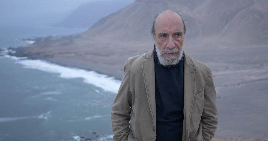 Zurita verás no ver: anuncian documental sobre el poeta chileno